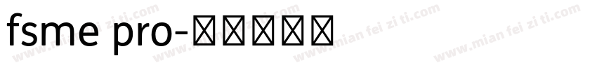 fsme pro字体转换